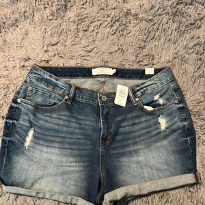 Torrid distressed denim shorts NWT